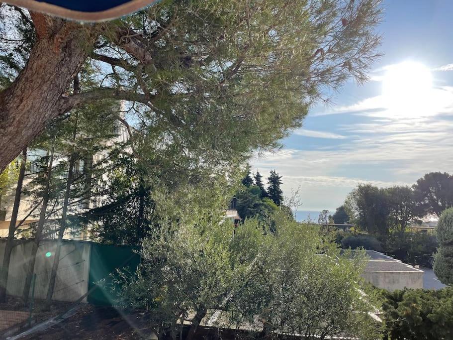 Cassis, Superbe Appartement Avec Terrasse Екстер'єр фото